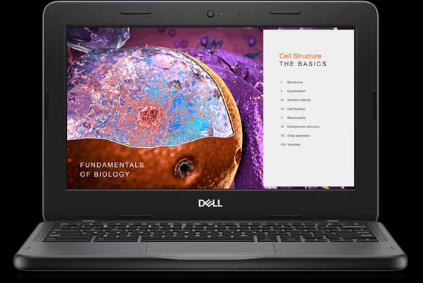 Dell Chromebook 3110 NG20V
